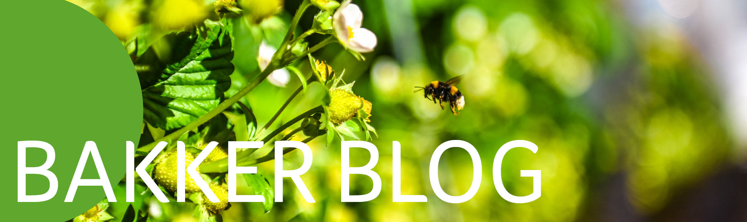 Banner Bakker Blog